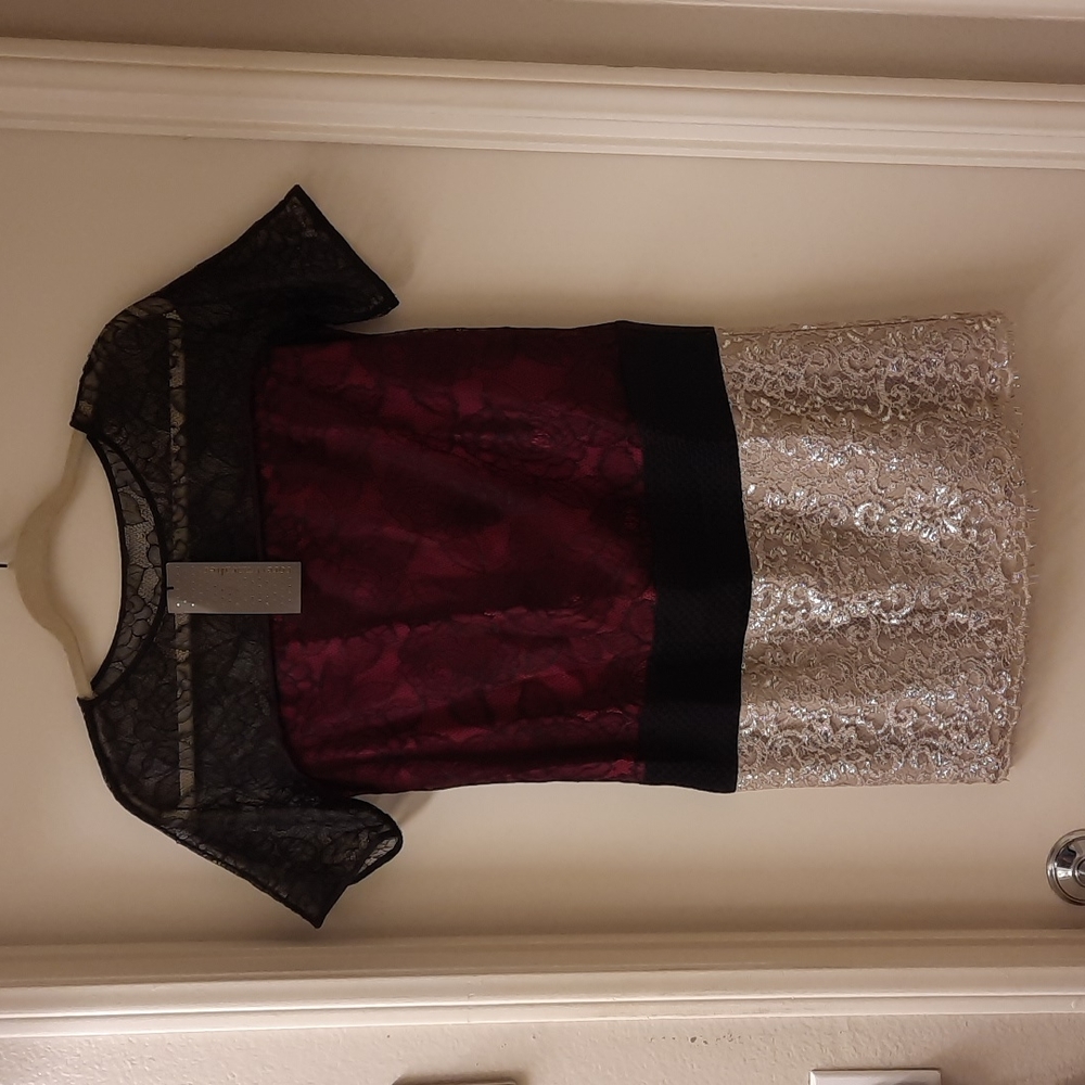 NWT, Corey Lynn Calter Lace Shift Dress